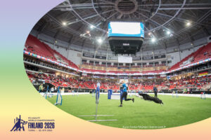 “Agility is for everyone”